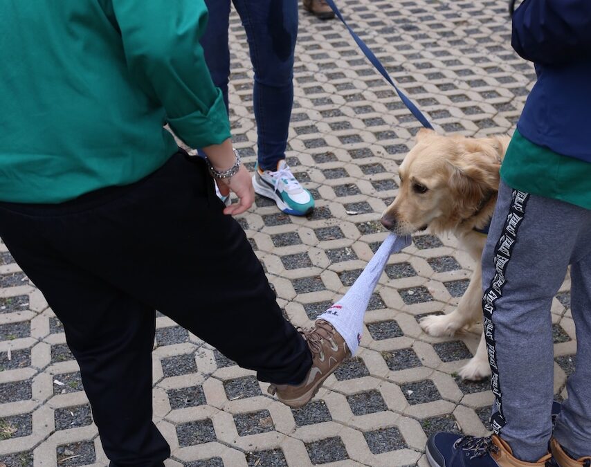 E Stopp fir de Mupp & Scouten a Brasilien