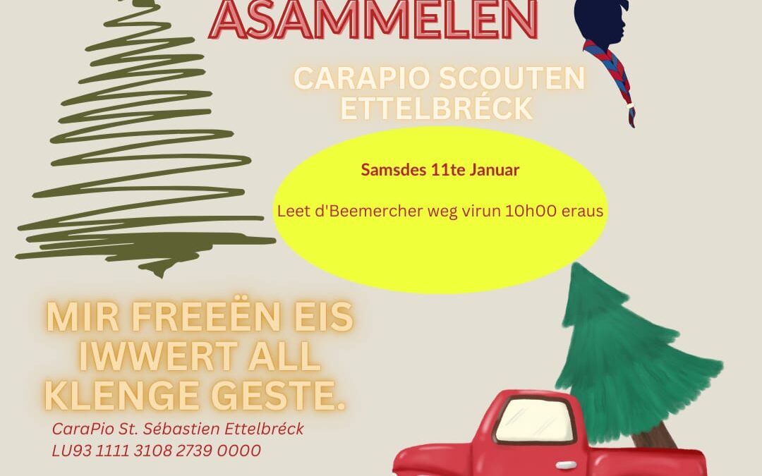 Collecte sapins de Noël 2025
